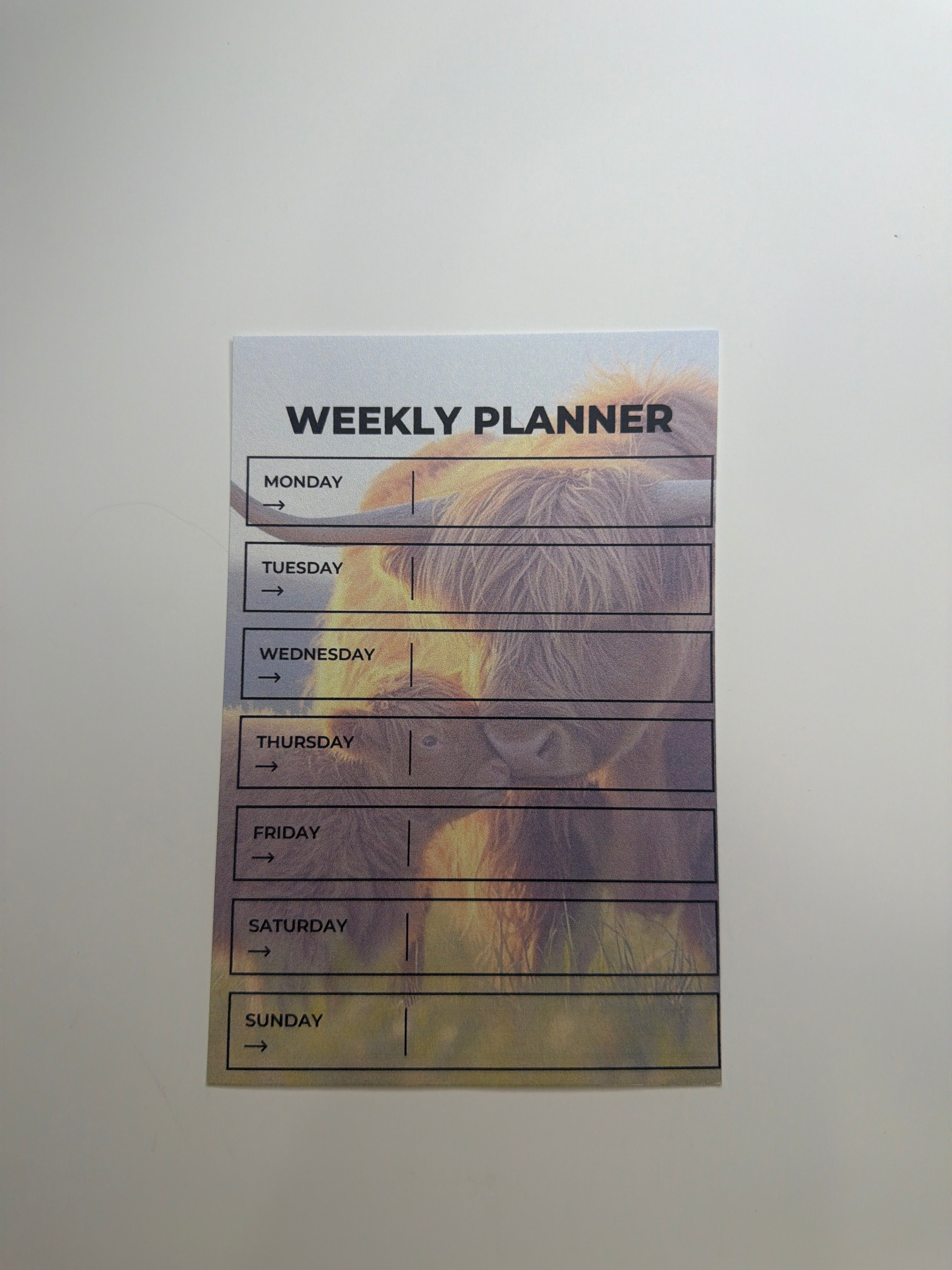 Weekly Planner