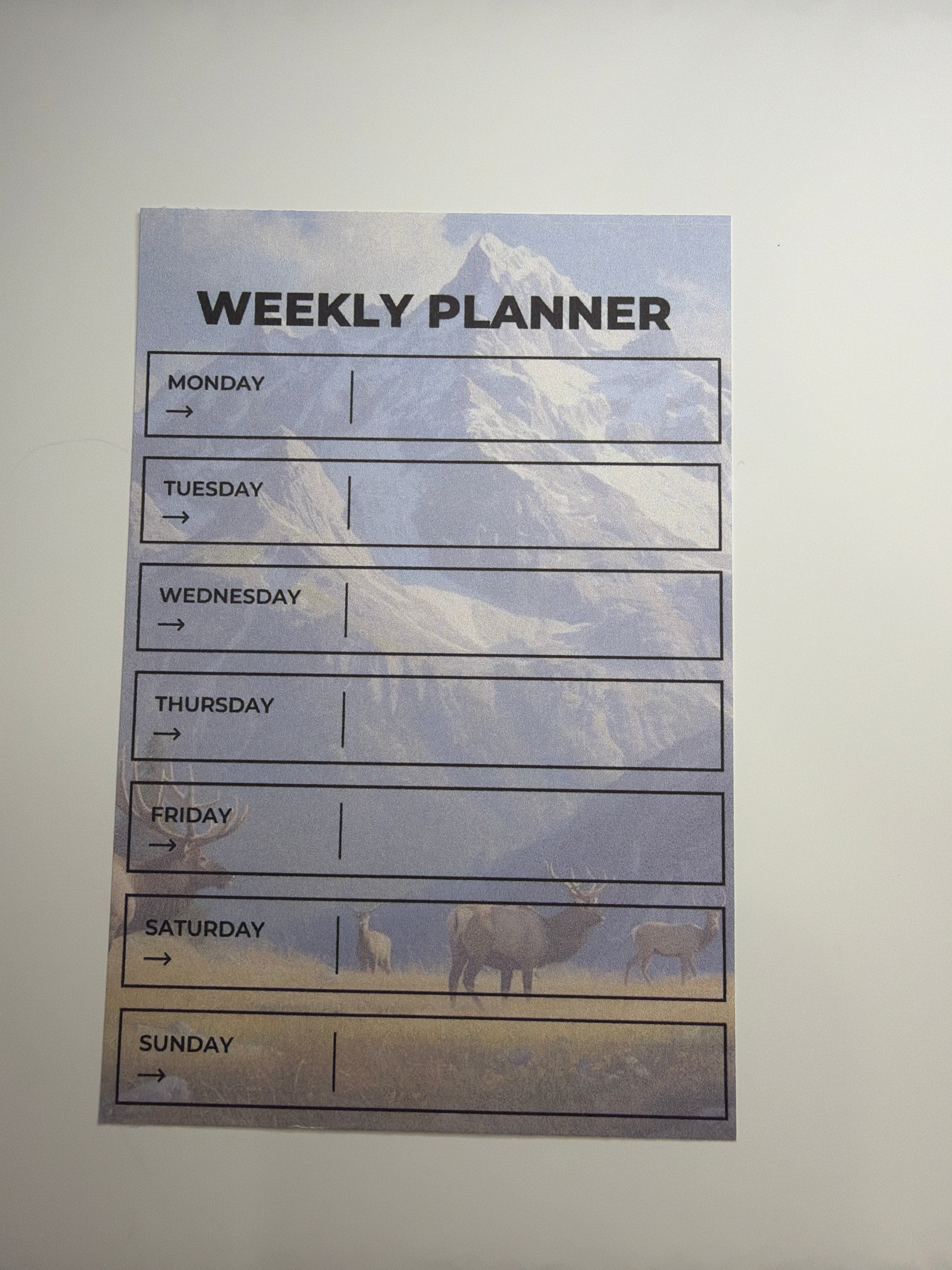 Weekly Planner