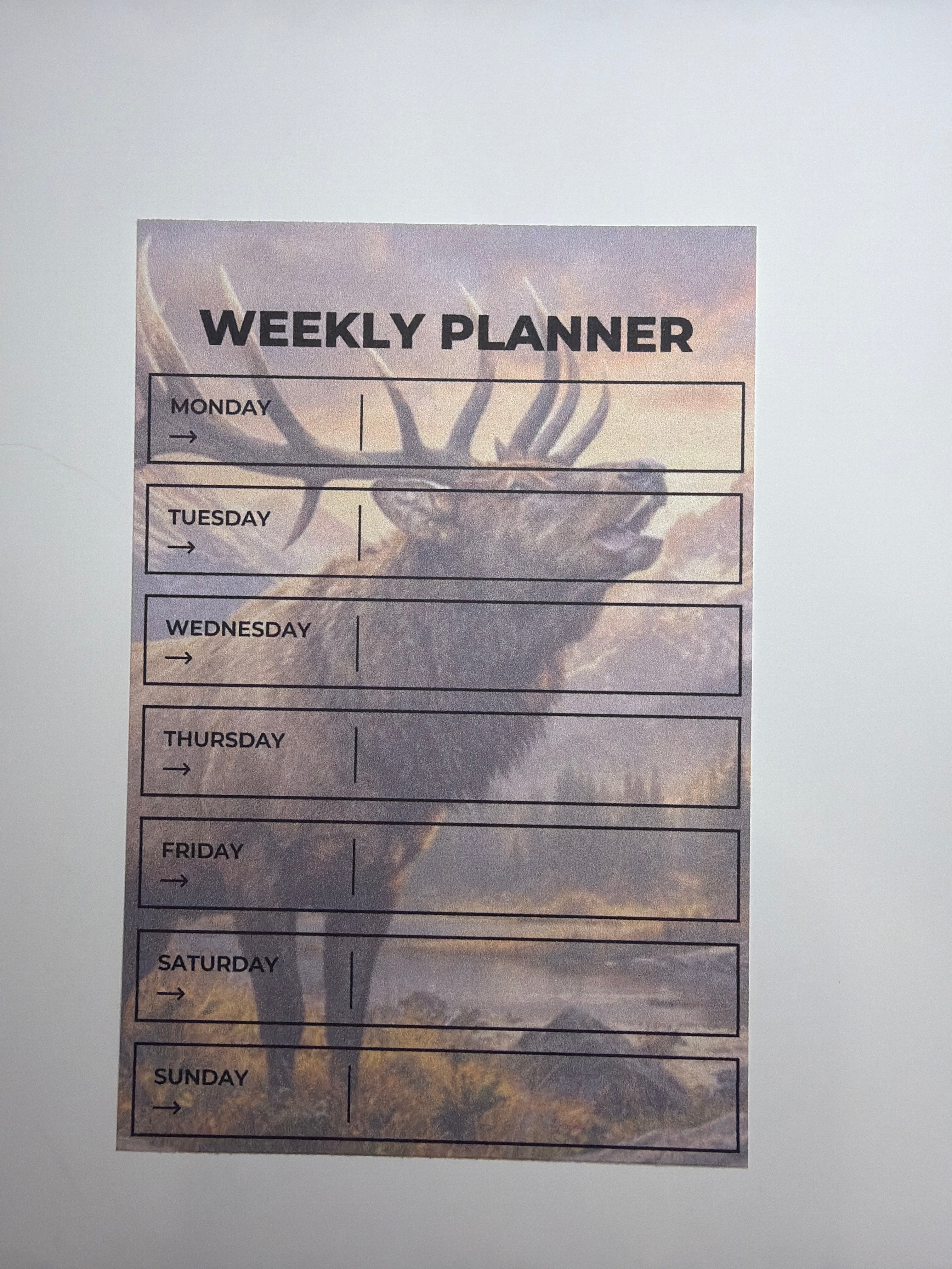 Weekly Planner