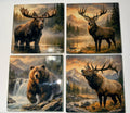Wild Life Coasters